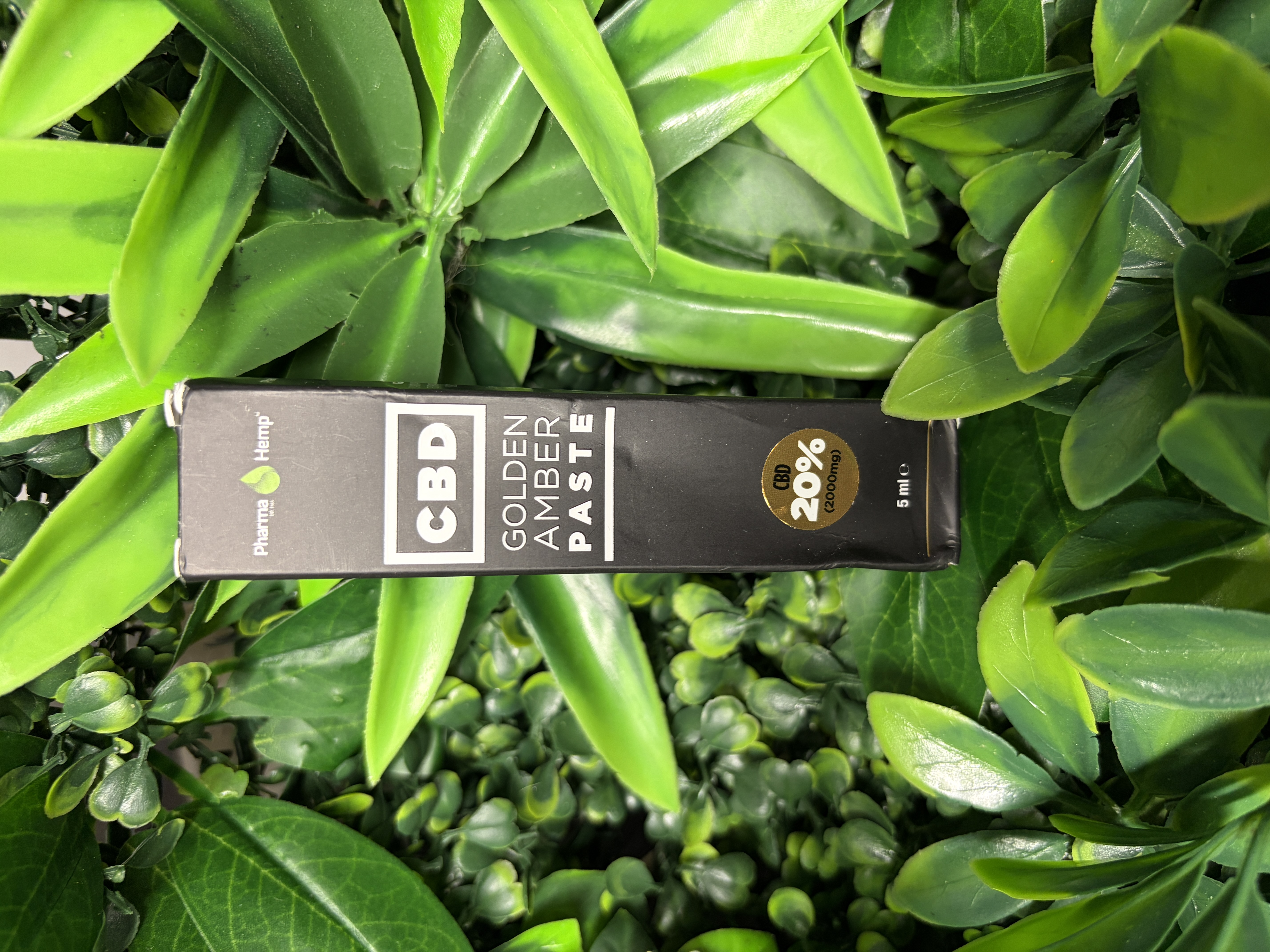 Pharma Hemp CBD Paste Golden Amber 5 ml 20% CBD – Bild 2