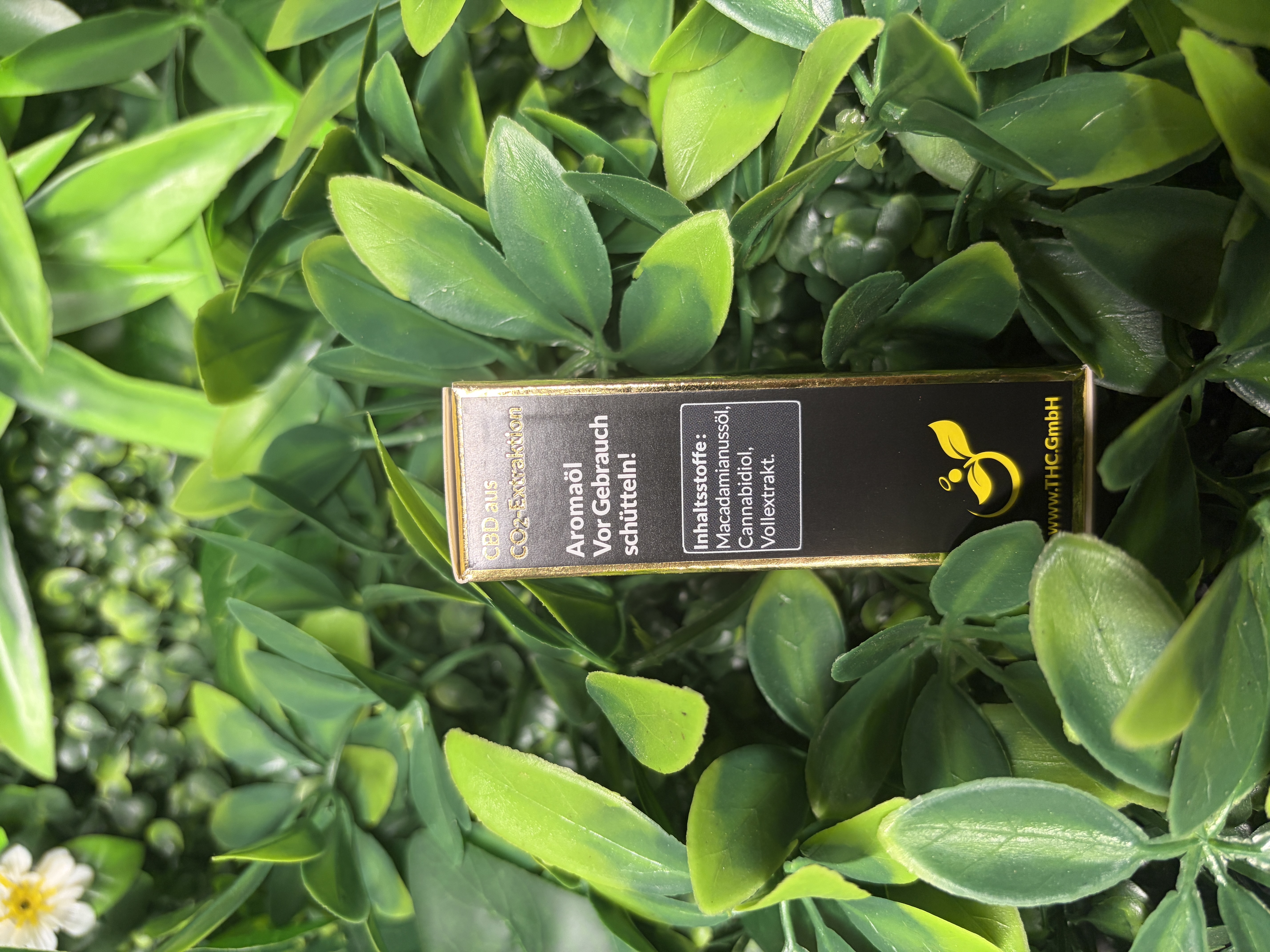 The Holy Company CBD Öl 10% 10 ml Aromaöl – Bild 2