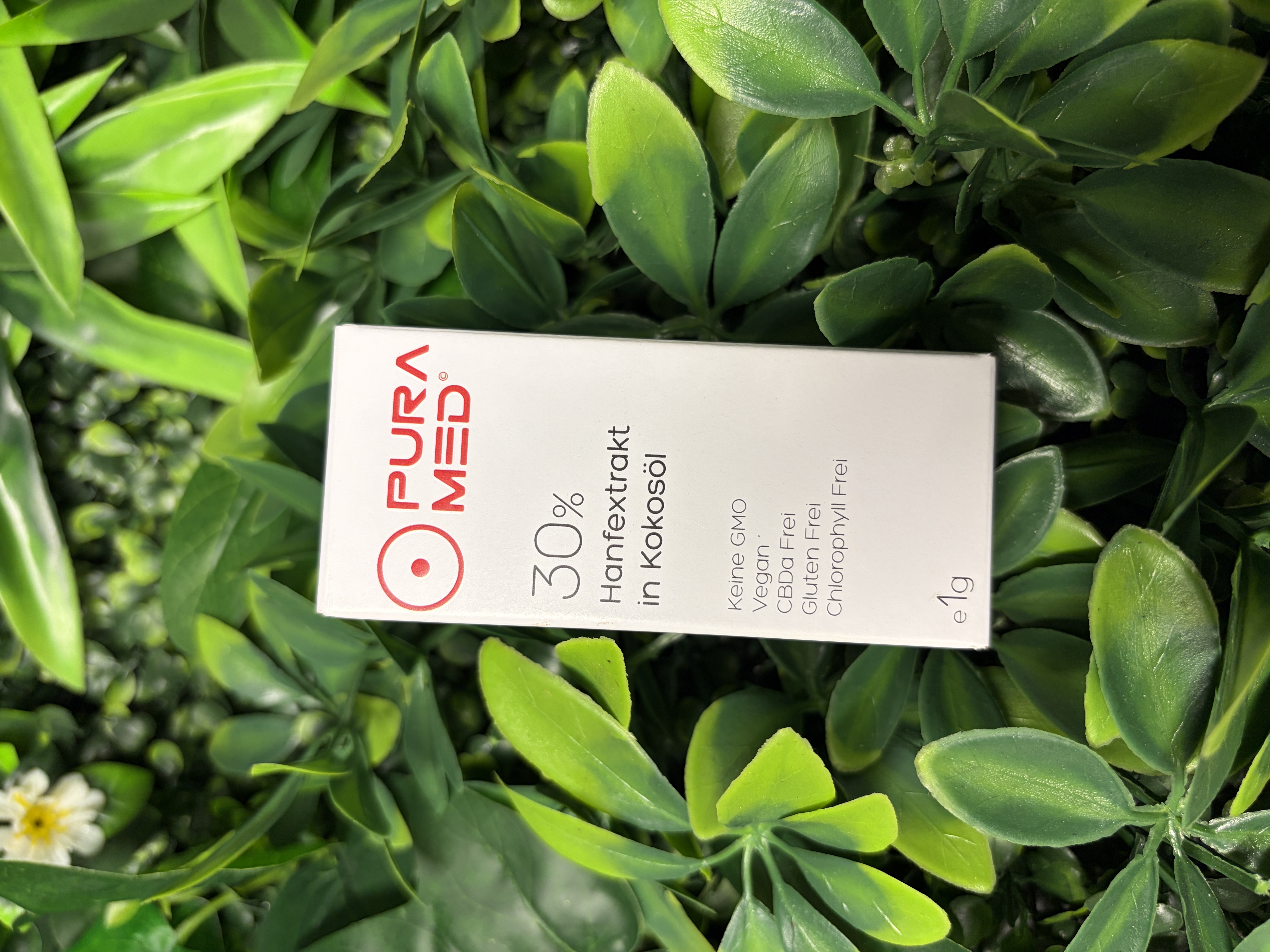 Pura Med Hanfextrakt in Kokosöl 30% 1 g