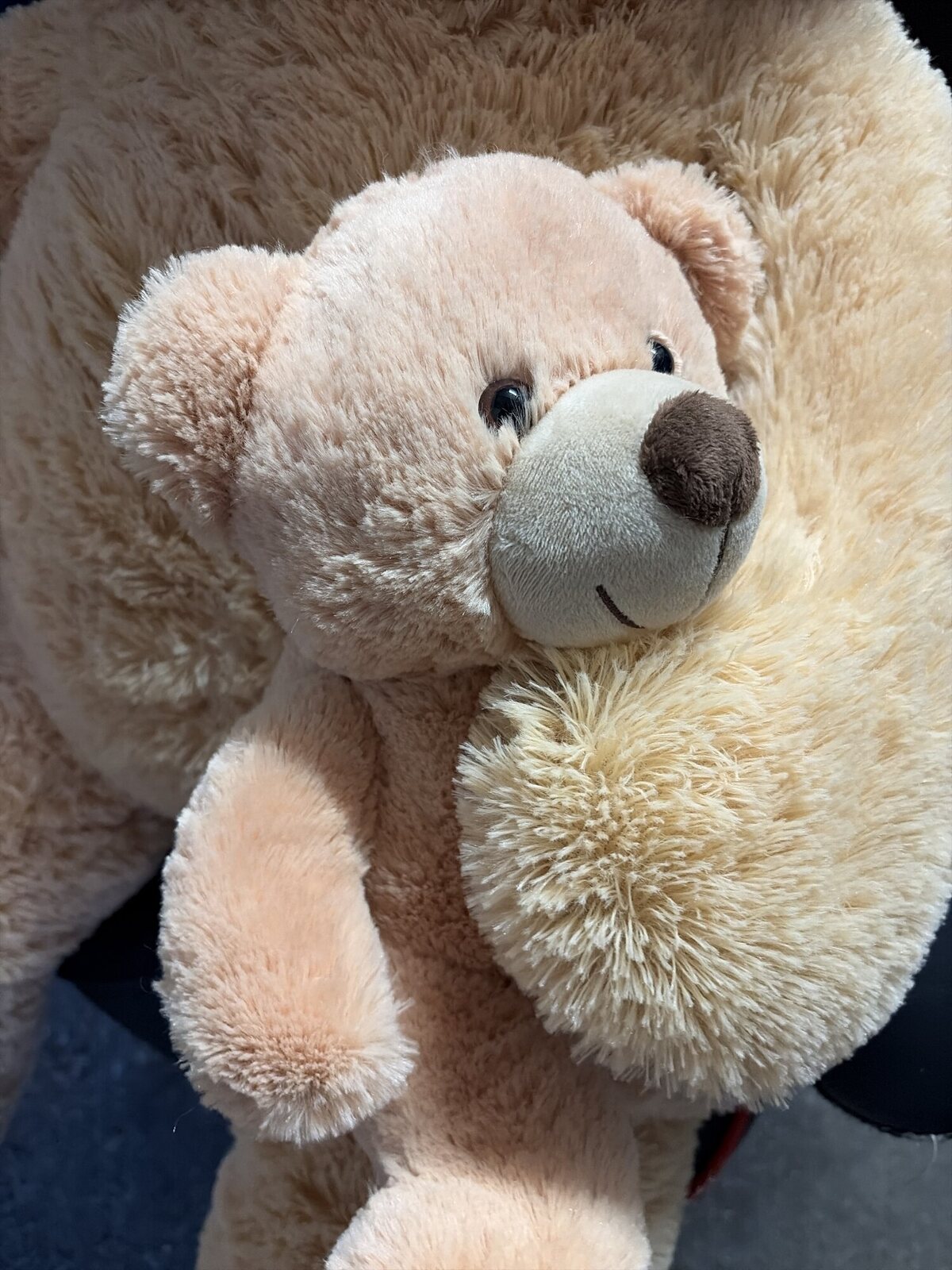 Plüschtier Teddybär 2 Stück beige große und kleine Größe – Bild 3